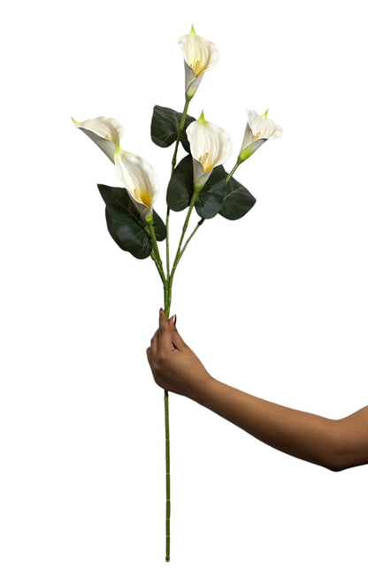 Cala Lily Stick 5 Head 34" Purple White (Pack of 10)