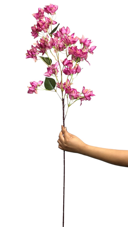 Bougainvillea Stick 4 Stem Pink (Pack of 10)