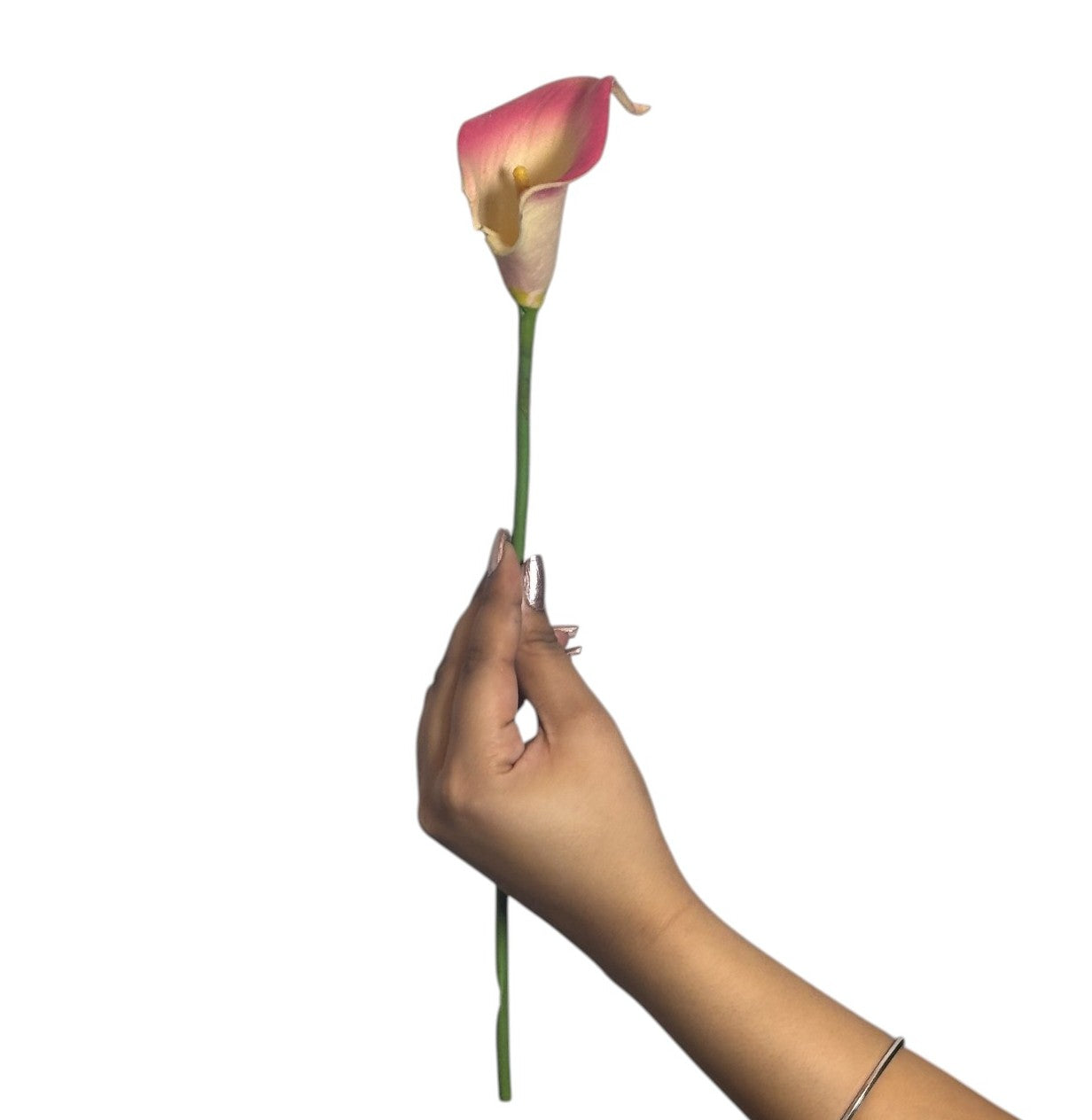 Calla Lilly Small Pink (Pack of 10)