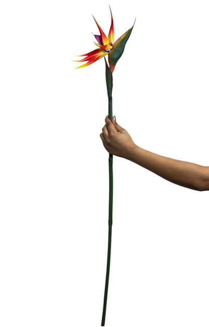 Bird of Paradise 91cm Yellow Orange (Pack of 10)